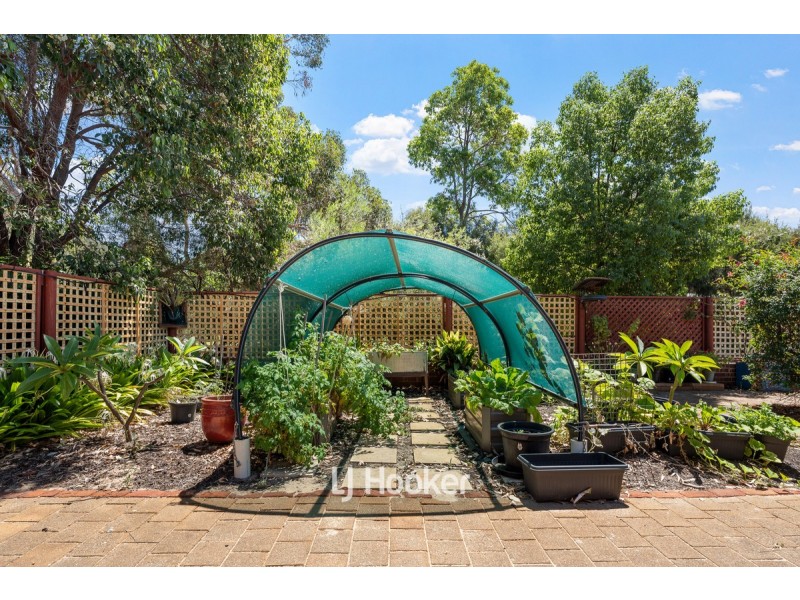 3 Boley Court, Gelorup WA 6230