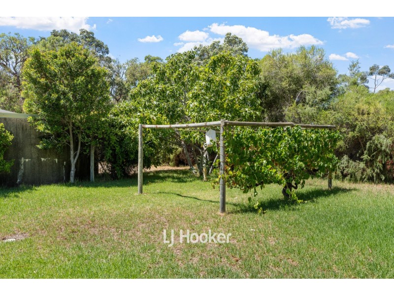 3 Boley Court, Gelorup WA 6230