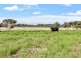 Lot 1504 Hazlett Road, Myalup WA 6220