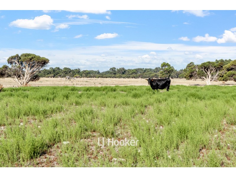 Lot 1504 Hazlett Road, Myalup WA 6220