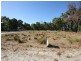 2 Cunningham Crescent, Collie WA 6225