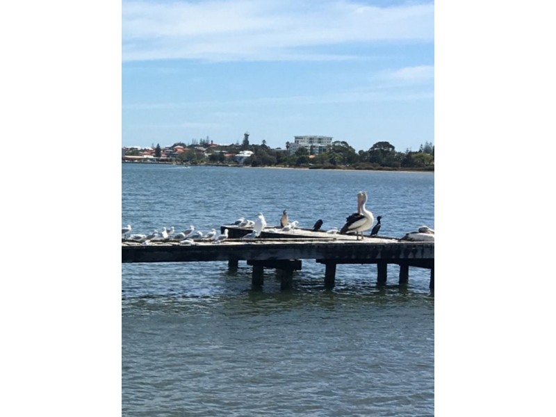 3/137 Stirling Street, Bunbury WA 6230