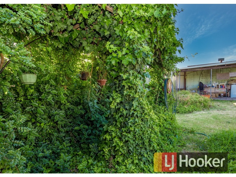 23 Simpson Street, Collie WA 6225