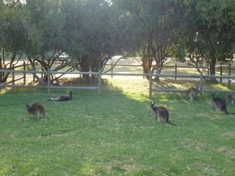 15/17 Hayward St, South Bunbury WA 6230