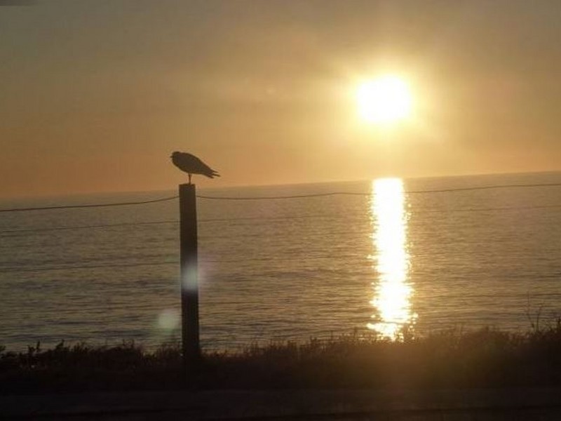 15/17 Hayward St, South Bunbury WA 6230