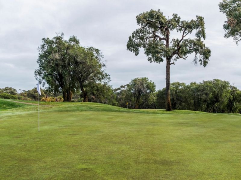 46 Mayne Way, Australind WA 6233