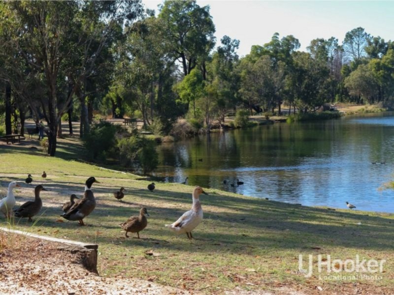 Lot 1433 Clifford Street, Collie WA 6225