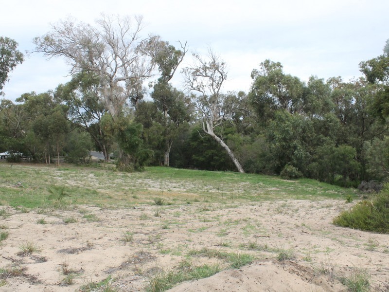 19 Wildflower Way, Leschenault WA 6233