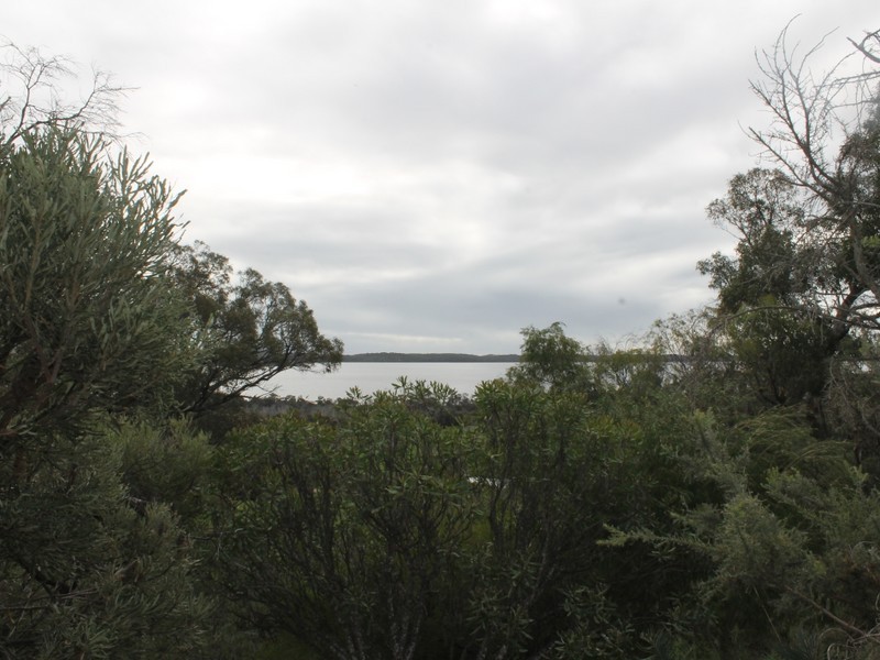 19 Wildflower Way, Leschenault WA 6233