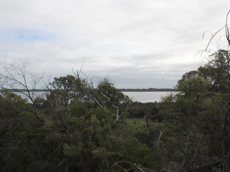 19 Wildflower Way, Leschenault WA 6233