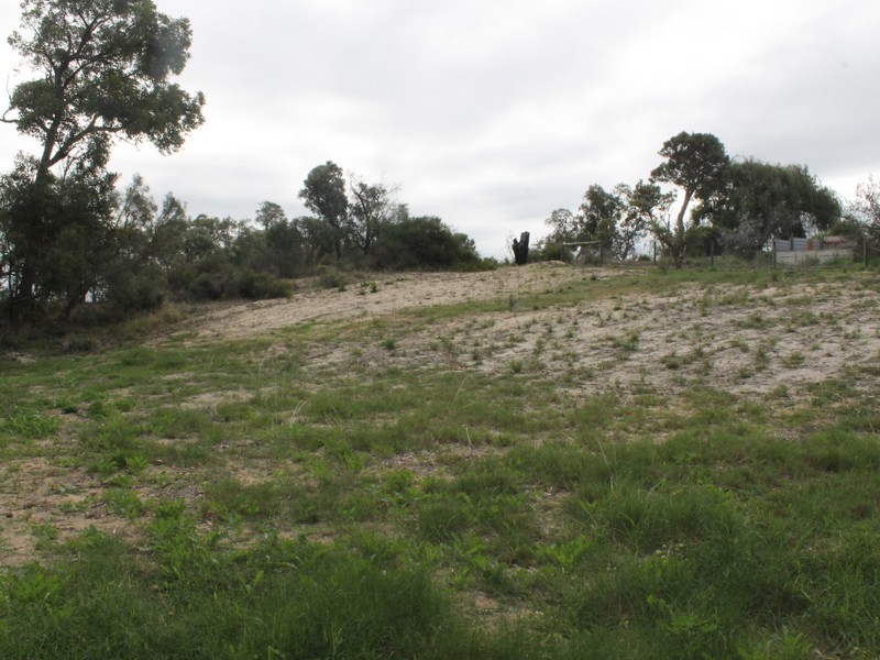 19 Wildflower Way, Leschenault WA 6233