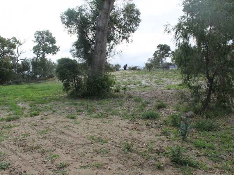 19 Wildflower Way, Leschenault WA 6233