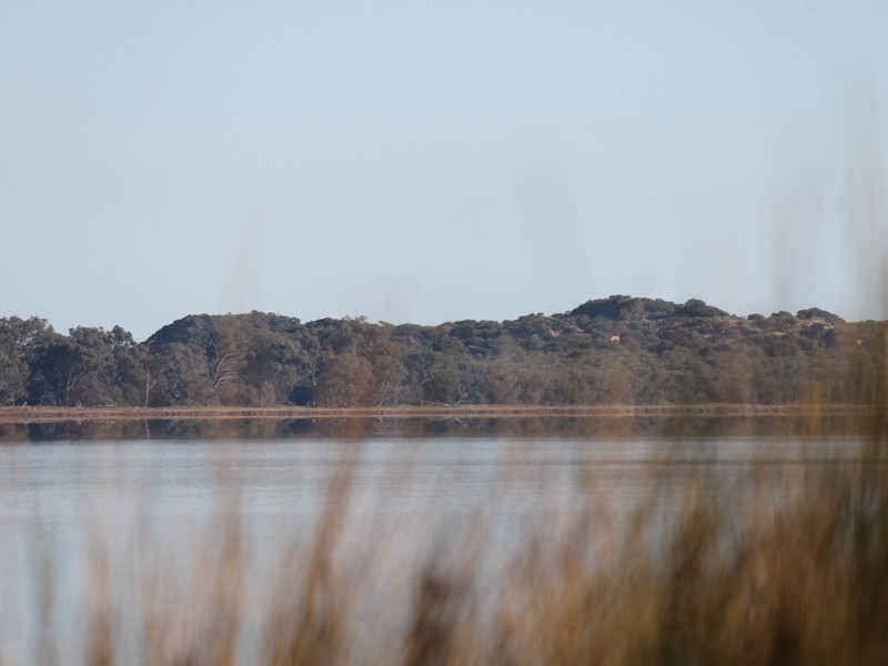 15 Little Place, Leschenault WA 6233