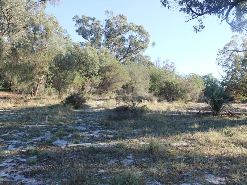 15 Little Place, Leschenault WA 6233