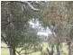 46 Birch Drive, Birchmont WA 6214