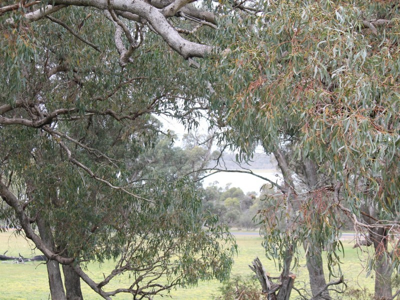 46 Birch Drive, Birchmont WA 6214