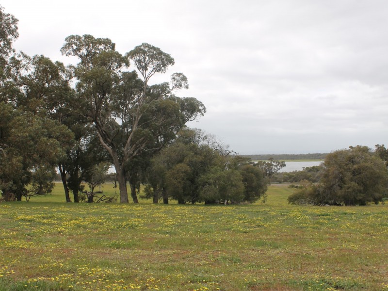 46 Birch Drive, Birchmont WA 6214
