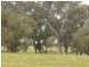 46 Birch Drive, Birchmont WA 6214