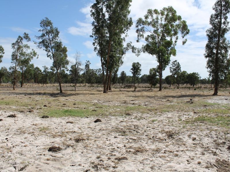 Lot 402 Padbury Road, Dardanup WA 6236