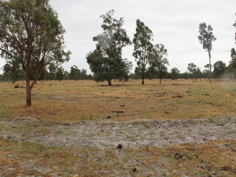 Lot 451 Padbury Road, Dardanup WA 6236