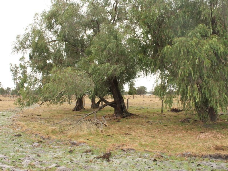 Lot 451 Padbury Road, Dardanup WA 6236