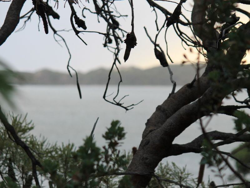 4 Hudson Place, Leschenault WA 6233