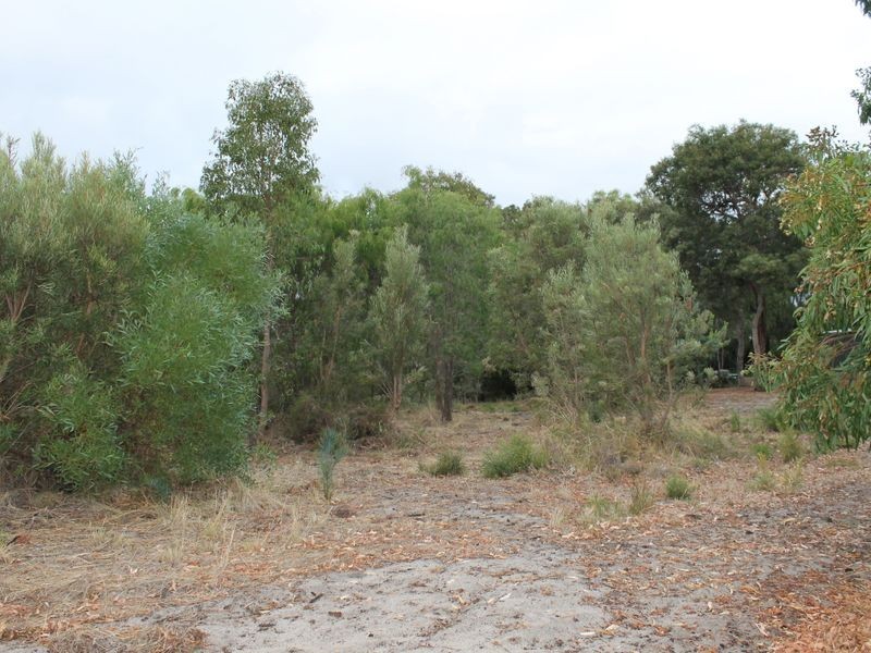 4 Hudson Place, Leschenault WA 6233