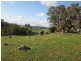 21 Eastman Road, Argyle WA 6239