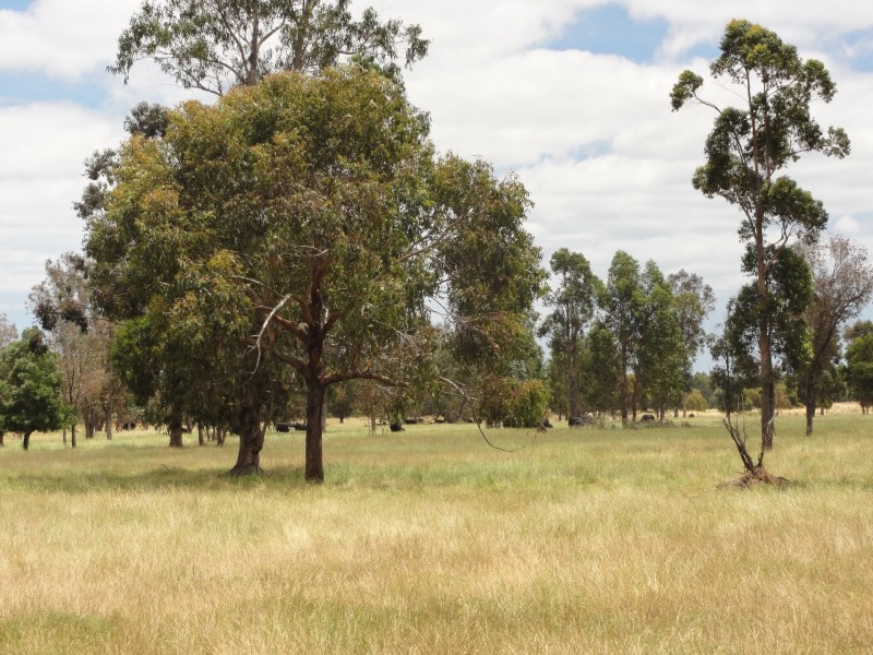 Lot 9003/9003 Padbury Road, Dardanup WA 6236