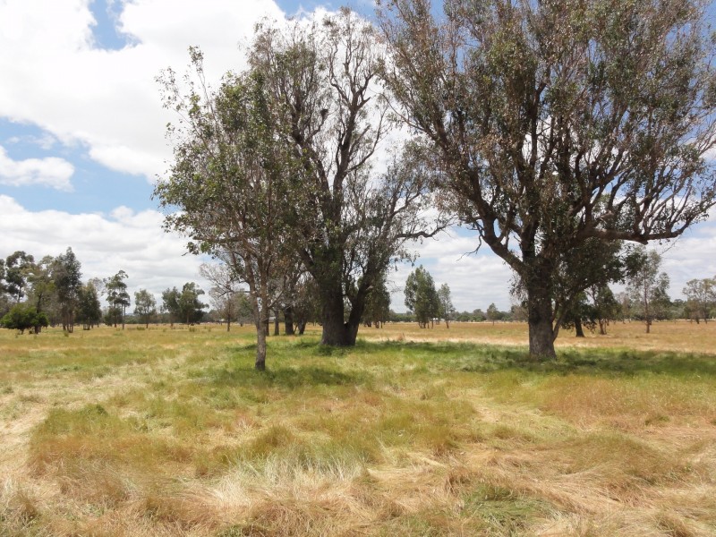 Lot 9003/9003 Padbury Road, Dardanup WA 6236