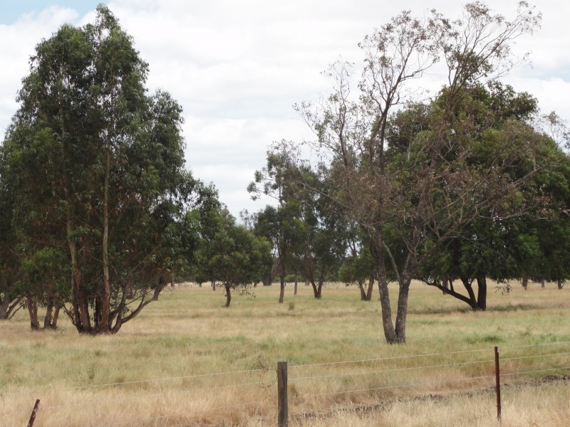 Lot 9003/9003 Padbury Road, Dardanup WA 6236