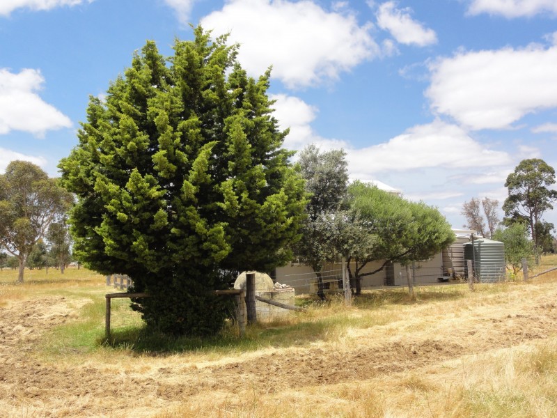 Lot 9003/9003 Padbury Road, Dardanup WA 6236