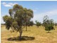 Lot 9003/9003 Padbury Road, Dardanup WA 6236