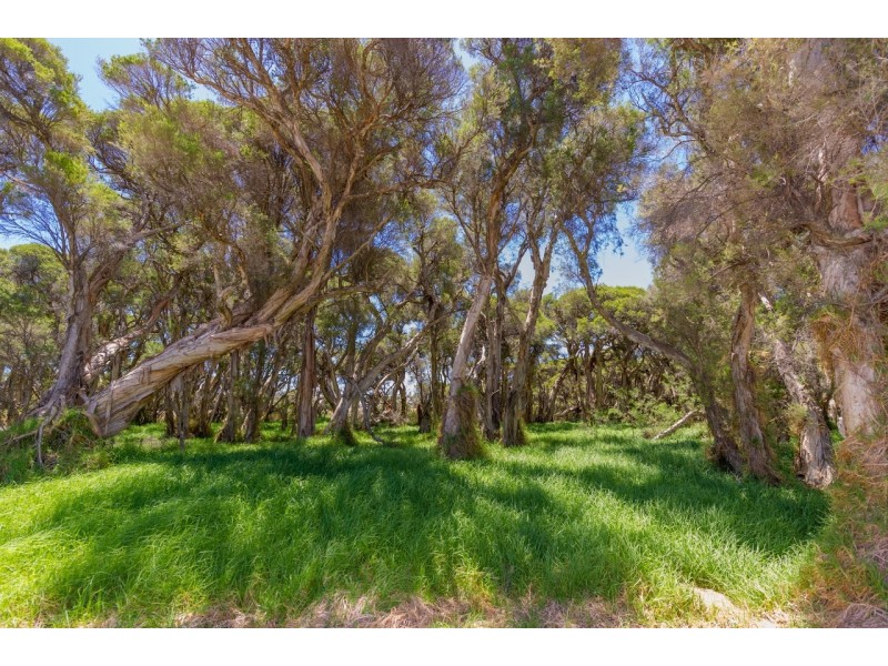 17 Properjohn Street, South Bunbury WA 6230