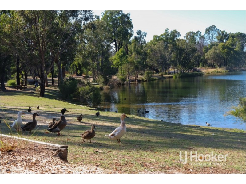 5 Buckingham Way, Collie WA 6225