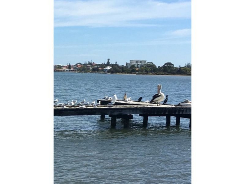 3/137 Stirling Street, Bunbury WA 6230