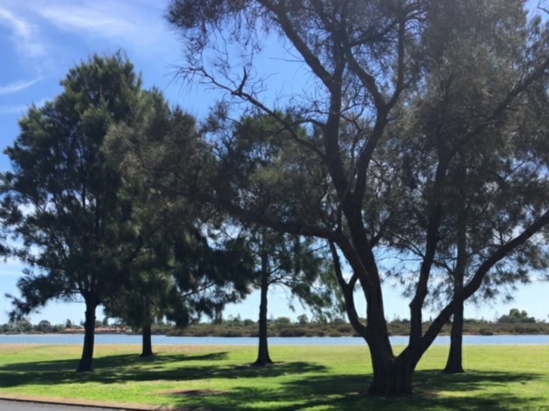 3/137 Stirling Street, Bunbury WA 6230