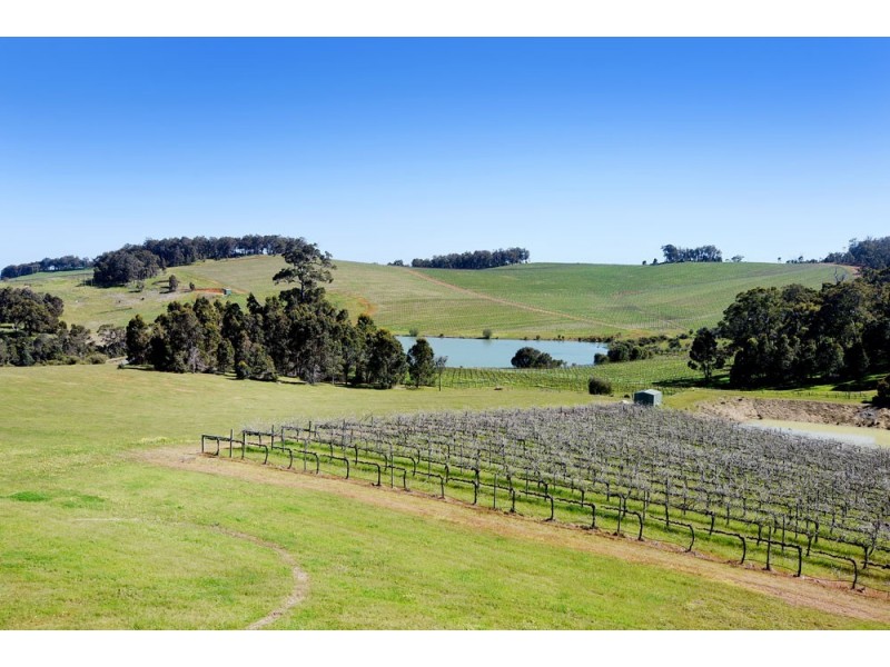 55 Seaview Heights, Henty WA 6236