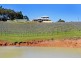 55 Seaview Heights, Henty WA 6236