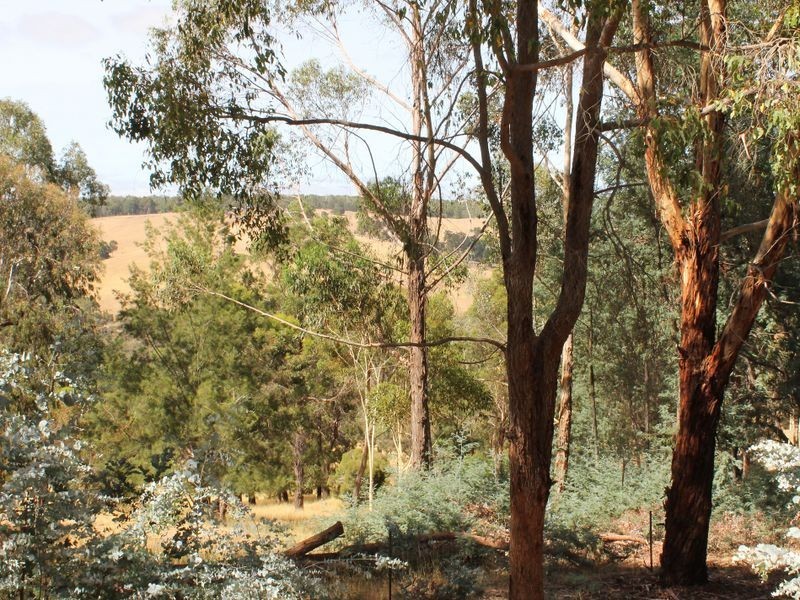 12 Mirimiri St, Bridgetown WA 6255