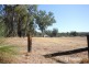 Lot 1482/ Bradbury Road, Collie Burn WA 6225
