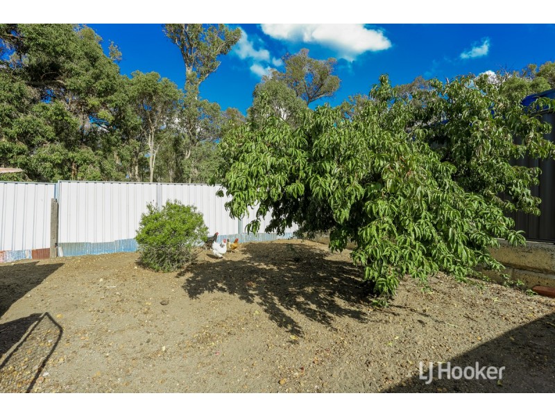 20 Telfer Crescent, Collie WA 6225