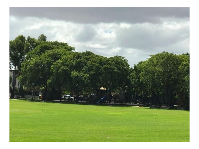 54/66 Cleaver Street, West Perth WA 6005