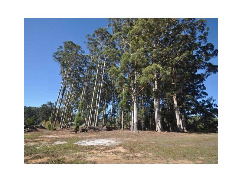 44 Clarrie Jones Place, Pemberton WA 6260