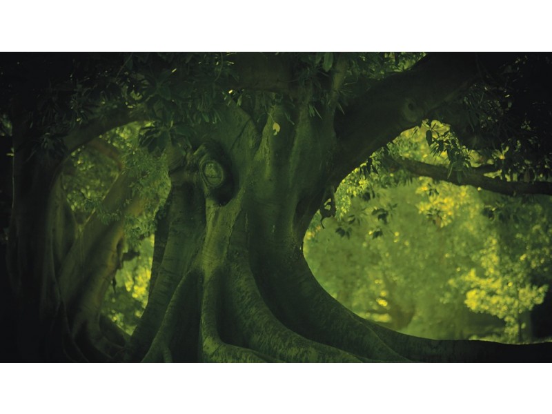 3/40 Cowle Street, West Perth WA 6005