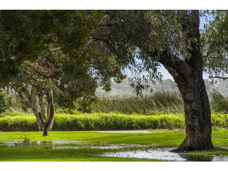 28/1 Herdsman Parade, Wembley WA 6014