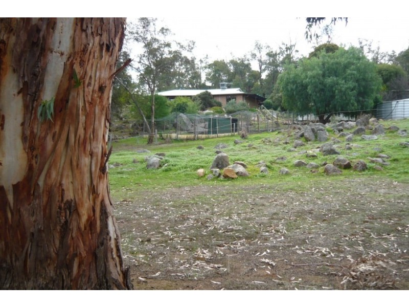 105 Tilden Drive, Gidgegannup WA 6083