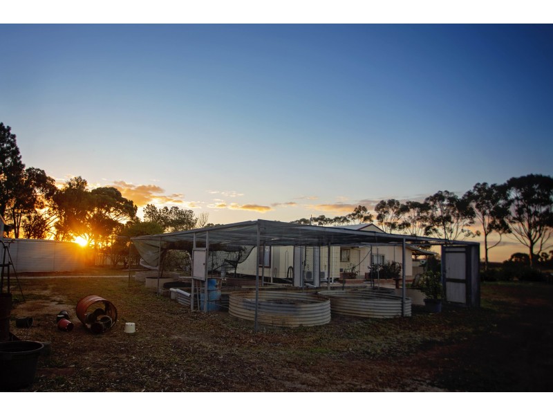 221 Jones Road, Hopetoun WA 6348