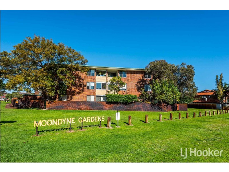 18B/49 Herdsman Parade, Wembley WA 6014