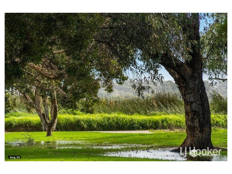 18B/49 Herdsman Parade, Wembley WA 6014